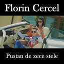Florin Cercel - Pustan de zece stele