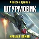 Алексей Цаплин - Как я дежурил