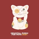 Cat Music Oasis - Hidden Treasures
