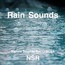 NSR Nature Sounds Recordings - Quiet Rain