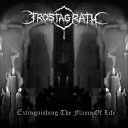 Frostagrath - Drowning In A Maze Of Mirrors