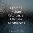 The White Noise Zen Meditation Sound Lab Chakra Balancing Sound Therapy Massage… - Drops of Heaven