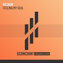 Reznor - Feeling My Soul Extended Mix