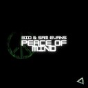 3ID feat Sam Evans - Peace of mind