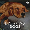 Dog Relaxation - Marmalades