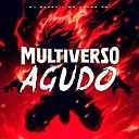 MC Luana SP DJ NK067 - Multiverso Agudo