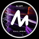 DJ Apt - Kalimba Radio Mix
