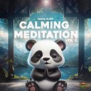 Panda Sleep Panda Chill Panda Music - Mind Calm Pt 3