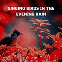 Nightjarz - Singing Birds In The Evening Rain