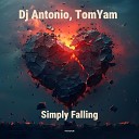 Dj Antonio TomYam - Simply Falling
