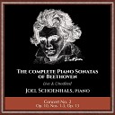 Joel Schoenhals - Sonata No. 7 in D Major, Op. 10, No. 3: IV:  Rondo Allegro