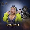DJ Hlo feat Professor Ndu Shezi Mdu - Noma Yini