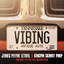 James Payne Lethal - VIBING feat Kingpin Skinny Pimp