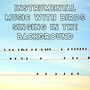 Singing Birds Zone - China Garden