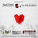 Natan Dj Piligrim Domastic - Ты меня забудь Dj Sheron Dj Makeev Radio…