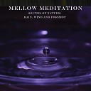 Mellow Meditation - Rain to Sleep