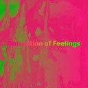 Fidodestroyer - Saturation of Feelings