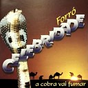 Forr Celebridade - Vou Pra Vaquejada