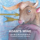 ADAM S WINE - Голова В Облаках