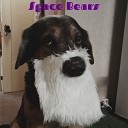 Space Bears - Меланхолик