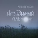 Ростислав Чебыкин - Хоронили плюшевого…