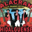 Alacran Hidalguense - La Hija Del Capo Mayor