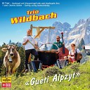 Trio Wildbach - Ein kleines Edelweiss