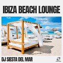 DJ Siesta del Mar - Deep Dream Drift