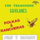 Los Tremendos Gavilanes Juan Y Salomon - Dios Me Nego Ranchera
