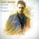 Amin Habibi - Dishab Hamin Moghee