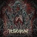 Vesicarum - My Inner Ghost