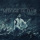 Ensemble de Musique Zen Relaxante - Nuit pluvieuse