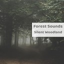 Forest Sounds - Rainy Storm