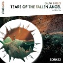 Drunk Breeze - Tears Of The Fallen Angel Intro Mix