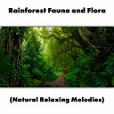 Nature Sounds for Sleep and Relaxation - Purple Forest