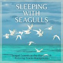 Dreaming Wonderland Academy - Sleep Music and Calm Sea Waves