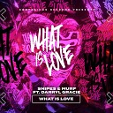 Snipes Murf - What Is Love Extended Mix