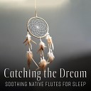 Native American Music Consort - Indigenuous Dreams