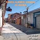 Banda Alianza Thunco de Acora feat Clavelina de los… - Huayno Que Es el Amor Cover