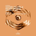 Victor Valora Peter Hatman - Insanity Original Mix