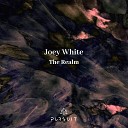 Joey White - A Valley Of Silence