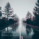 Forest Sounds FX - Birds and animals in the rain