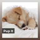 Dog Sleep Dreams - Good Boy