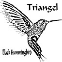 Triangel - Black Hummingbird