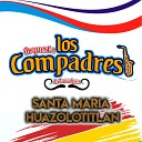 Orquesta Los Compadres de Zacualpan - Chilena Santa Mar a Huazolotitlan