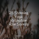 Organic Nature Sounds Study Power Deep Relaxation Meditation… - White Noise Waters