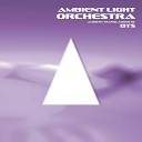 Ambient Light Orchestra - Blood Sweat Tears