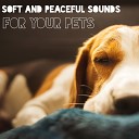 Deep Sleep Group - Sleep Piano Sound for Dogs and Cats