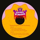 Candy Kingdom Synth Orchestra - The Tune To Reflect The Long Road Behind You