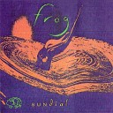Frog - In the Sand